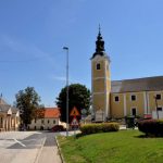 Škocjan: Trije kandidati za župana in šest list za občinski svet