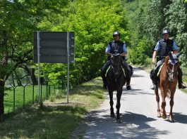 Dr. Anton Olaj: “Policija bi na meji morala preprečiti nedovoljen vstop in s tem tudi preprečiti nastanek prekrška”