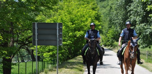 Dr. Anton Olaj: “Policija bi na meji morala preprečiti nedovoljen vstop in s tem tudi preprečiti nastanek prekrška”