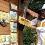 Sumljivi klici čebelarjem, povezani z registrom čebelnjakov