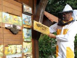 Sumljivi klici čebelarjem, povezani z registrom čebelnjakov