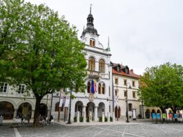 Novo mesto: V občini priprave na začetek delovanja javne univerze