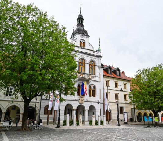 Novo mesto: V občini priprave na začetek delovanja javne univerze