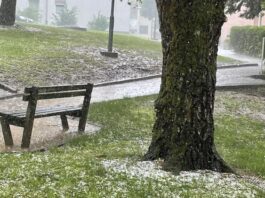 Novo mesto: Zbiranje vlog o škodi na kmetijskih pridelkih zaradi posledic neurij s točo