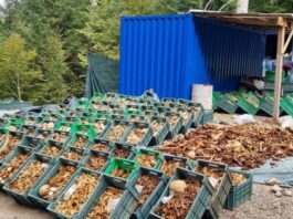 Izvajali, prikrivali in onemogočali popravo krivice: Izbris 69.000 Slovencev