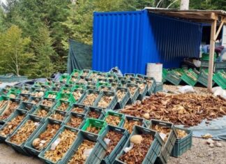 Izvajali, prikrivali in onemogočali popravo krivice: Izbris 69.000 Slovencev