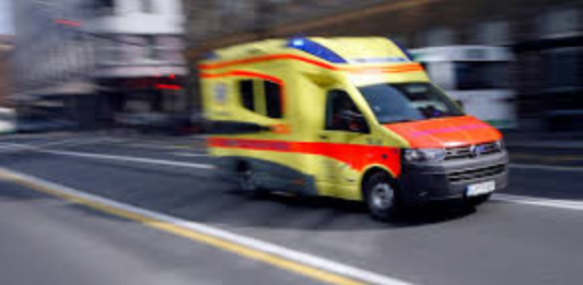 Za dolenjskimi policisti burna noč; v romsko naselje skupaj z reševalci