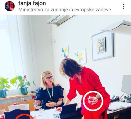 Krog korupcije: Barbara Žvokelj predlagala Fajonovo, za nagrado pa Dunaj