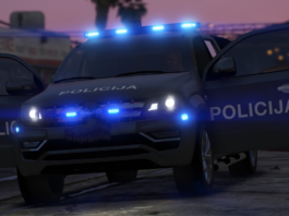 Vlamljali in kradli: V Dolenjskih Toplicah ukradli avto, v Škocjanu voz, ob Težki Vodi kokoši