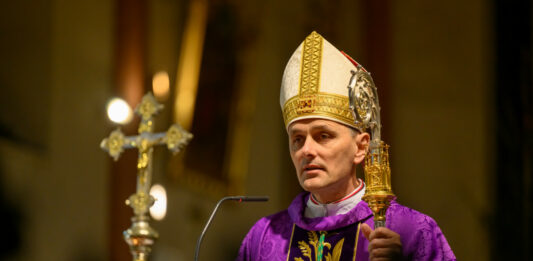 Škof Saje: Volite stranke, ki spoštujejo človekovo dostojanstvo in družino