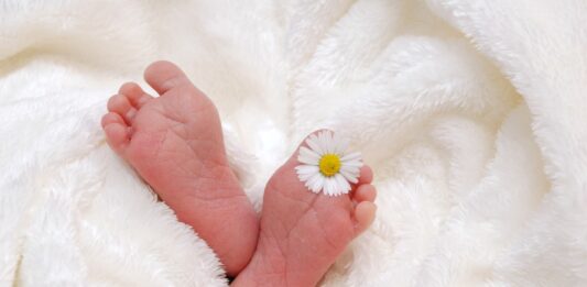 Ukradeni otroci v Sloveniji: Boleče zgodbe mater, ki iščejo resnico