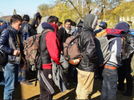 Na južni meji ob koncu tedna za štiri avtobuse nezakonitih migrantov