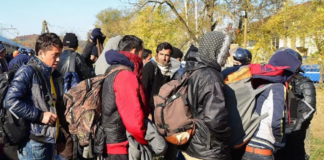 Na južni meji ob koncu tedna za štiri avtobuse nezakonitih migrantov