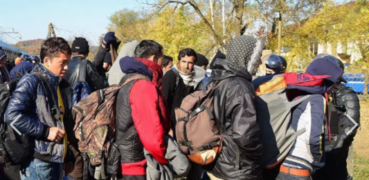 Na južni meji ob koncu tedna za štiri avtobuse nezakonitih migrantov