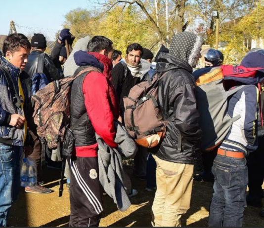 Na južni meji ob koncu tedna za štiri avtobuse nezakonitih migrantov