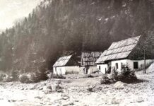 Zadevo Trenta znova peljejo v čas volitev