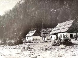 Zadevo Trenta znova peljejo v čas volitev