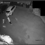 Ukradli suhomesnate izdelke, žensko torbico in vlomili v garaži