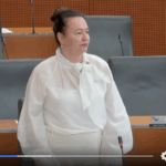 Anja Bah Žibert: Dvojna merila vladajočih