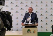 Katastrofa: do 90 odstotkov manj koruze, travniki suhi, vinska trta se suši!