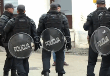 Goloba v Novem mestu pred jeznimi občani reševali specialci