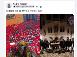 Manjše težave na shodu v Novem mestu so povzročali posamezni Green Dragonsi, Viole in črni panterji