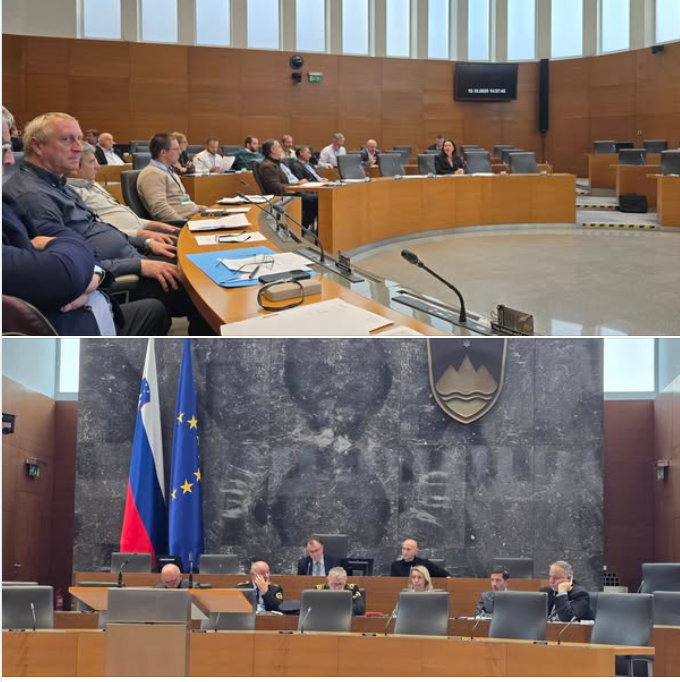 dz seja komisije