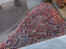 Zaradi zadeve LokalPatriot odstopil direktor PU Novo mesto