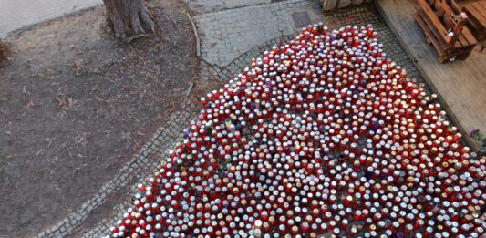 Zaradi zadeve LokalPatriot odstopil direktor PU Novo mesto