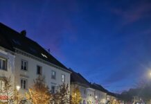 Novo mesto: Nepregledna množica na Glavnem trgu, predstavitve županov, svetnikov, žvižgi za Goloba