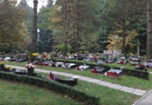 Novo mesto: Spominske slovesnosti ob dnevu spomina na mrtve in brezplačen avtobusni prevoz do pokopališč