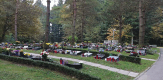 Novo mesto: Spominske slovesnosti ob dnevu spomina na mrtve in brezplačen avtobusni prevoz do pokopališč