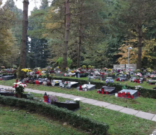 Novo mesto: Spominske slovesnosti ob dnevu spomina na mrtve in brezplačen avtobusni prevoz do pokopališč