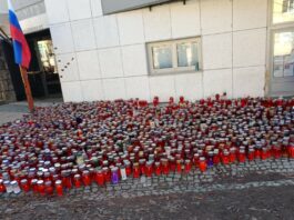 Novo mesto: Prvo današnje policijsko posredovanje v središču mesta