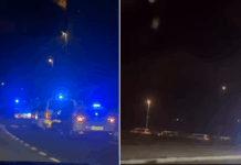 Streljanje v novomeških romskih naseljih