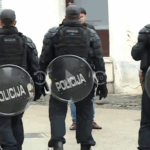 Goloba v Novem mestu pred jeznimi občani reševali specialci