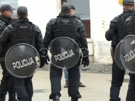 Goloba v Novem mestu pred jeznimi občani reševali specialci