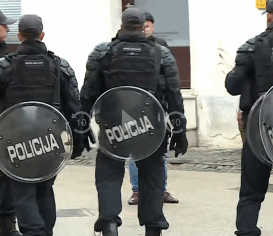 Goloba v Novem mestu pred jeznimi občani reševali specialci