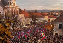 Takole je bilo včeraj v Novem mestu, ko je besedo dobila vlada (video)