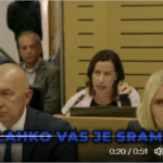 Izjava tedna: “Lahko vas je sram, da so ljubljanske nutrije in kočevski medvedi bolj zaščiteni kot prebivalci jugovzhodne Slovenije. Lahko vas je sram!”