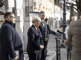 Novo mesto: Lahko v prihodnjih dneh pričakujemo številne hišne preiskave, v katerih bo policija zasegla orožje?