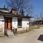 Mrtvo pijani Romi z avtom zbili dva konja in ovco