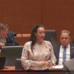 Anja Bah Žibert: “Od zakona, ki ga je v Novem mestu napovedoval predsednik vlade, ni ostal več niti z”