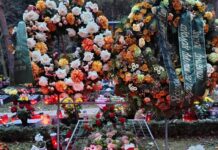 Zakaj je moral umreti Aleš Šutar, da se je vlada končno zganila?