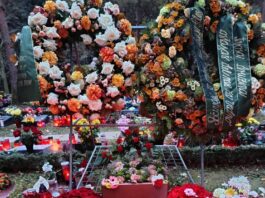 Zakaj je moral umreti Aleš Šutar, da se je vlada končno zganila?