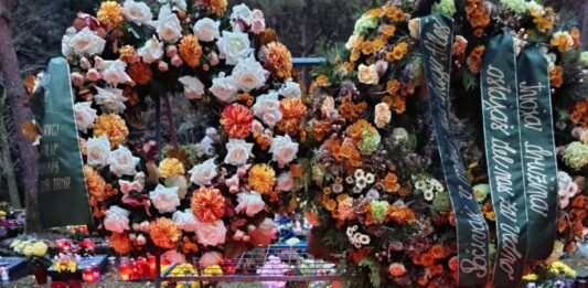 Zakaj je moral umreti Aleš Šutar, da se je vlada končno zganila?