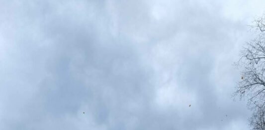 Masaker: Kozici odrezal glavo, njeno truplo pa odvrgel za ograjo (foto)