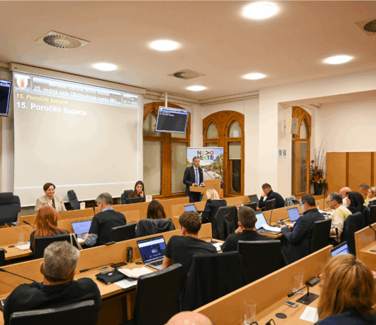 Novo mesto: Bršljin dobiva novo podobo, Adria Mobil, Ločna, polnilni park, videonadzor