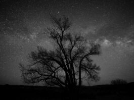 Prebivalce Mirne, Šentruperta in Trebnjega prebudil močan nenavaden pok