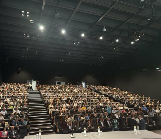 SDS za koalicijo z volivci za ustavno večino razuma